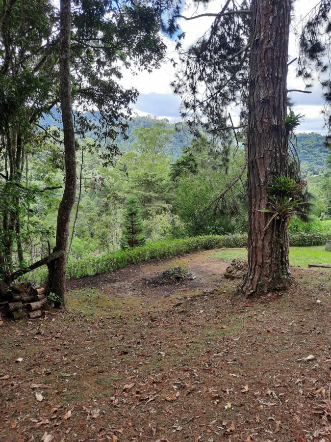 Sítio à venda com 4 quartos, 10000m² - Foto 9