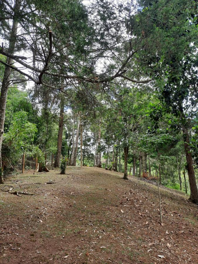 Sítio à venda com 4 quartos, 10000m² - Foto 10