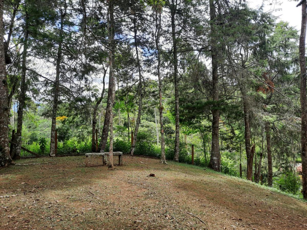 Sítio à venda com 4 quartos, 10000m² - Foto 11