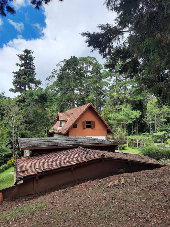 Sítio à venda com 4 quartos, 10000m² - Foto 8
