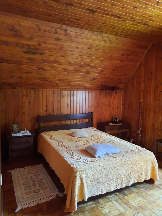 Sítio à venda com 4 quartos, 10000m² - Foto 20
