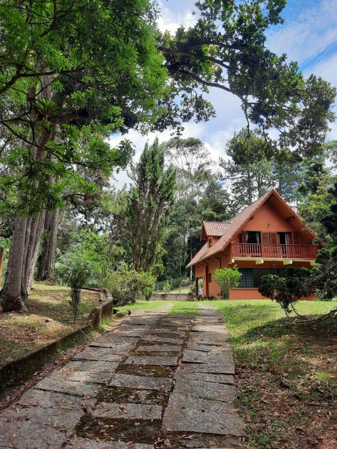 Sítio à venda com 4 quartos, 10000m² - Foto 4