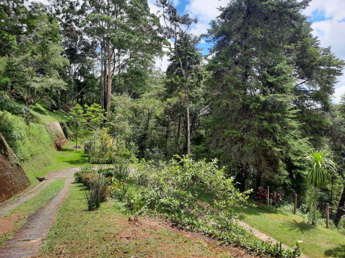 Sítio à venda com 4 quartos, 10000m² - Foto 13