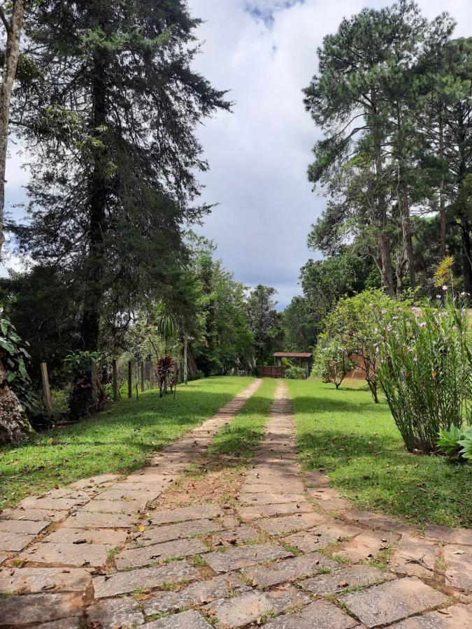 Sítio à venda com 4 quartos, 10000m² - Foto 12