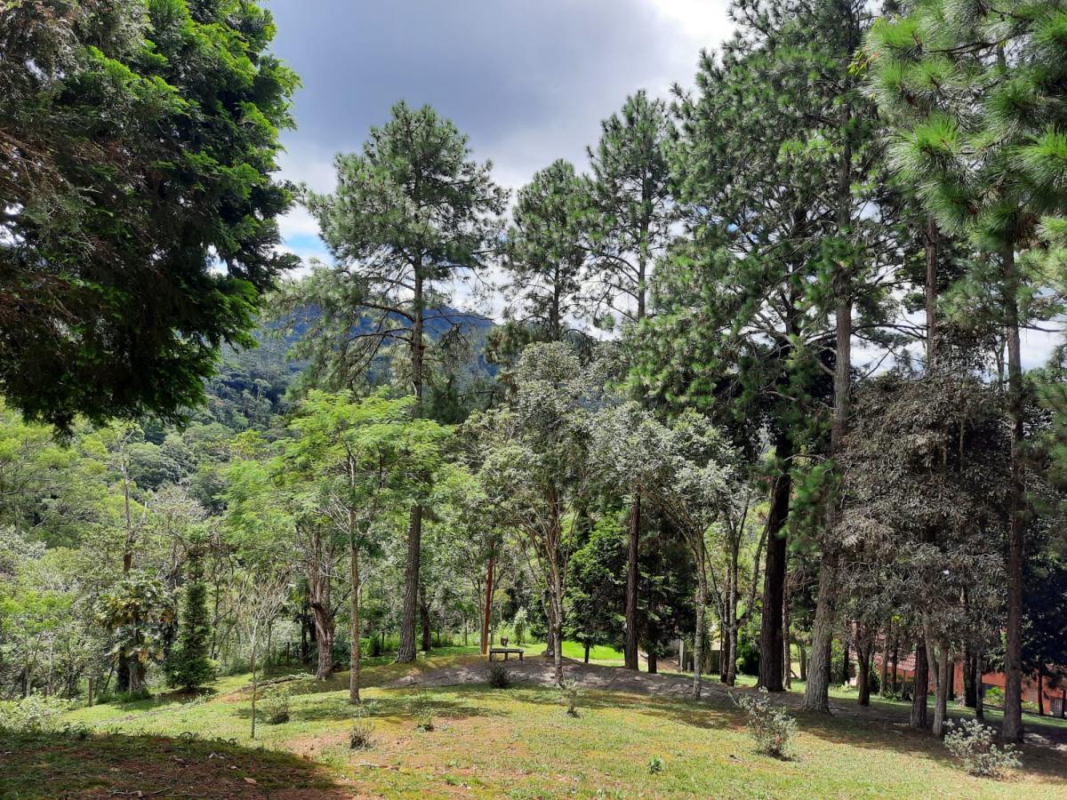 Sítio à venda com 4 quartos, 10000m² - Foto 14