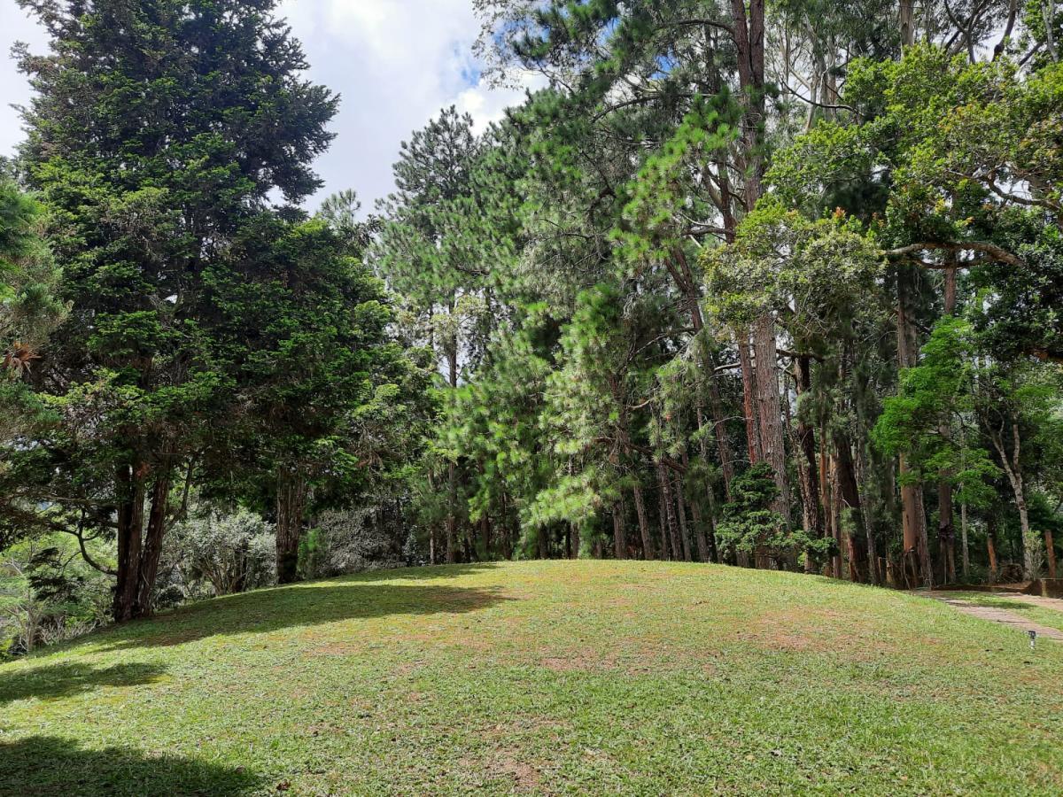 Sítio à venda com 4 quartos, 10000m² - Foto 15