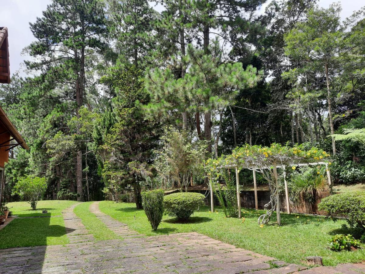 Sítio à venda com 4 quartos, 10000m² - Foto 16