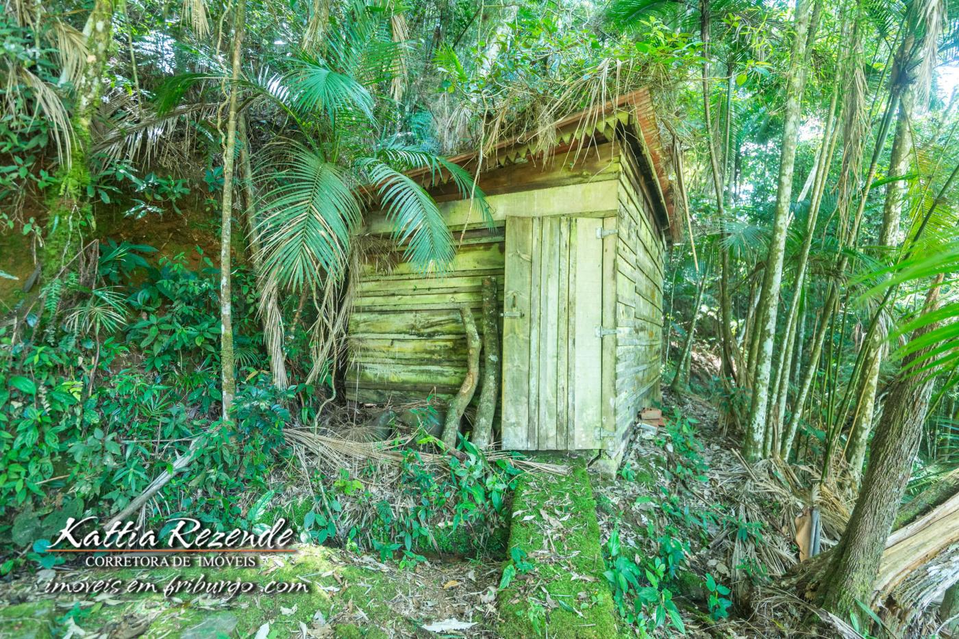 Sítio à venda com 3 quartos, 15800m² - Foto 21