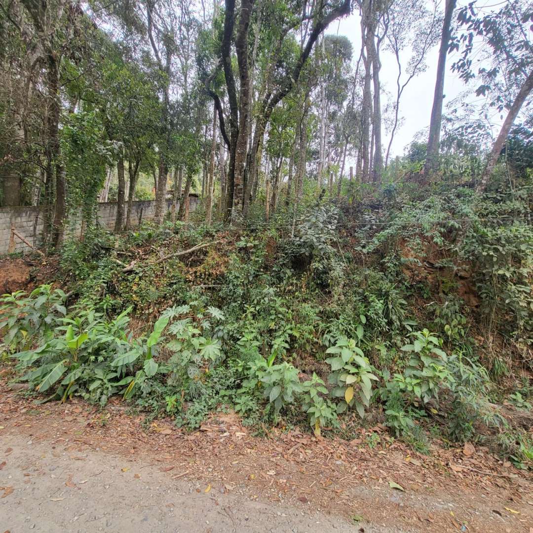 Terreno Residencial à venda em Mury, Nova Friburgo - RJ - Foto 2