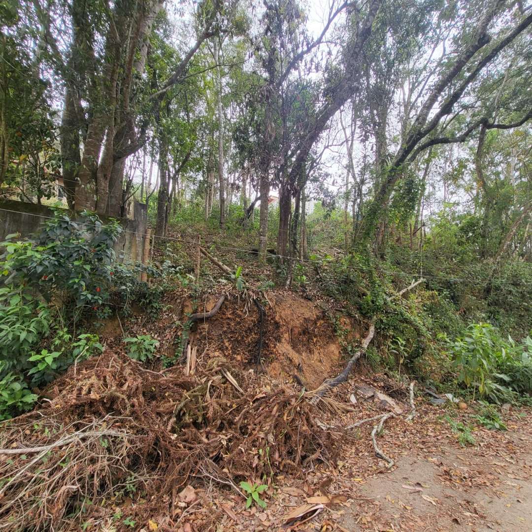 Terreno Residencial à venda em Mury, Nova Friburgo - RJ - Foto 3