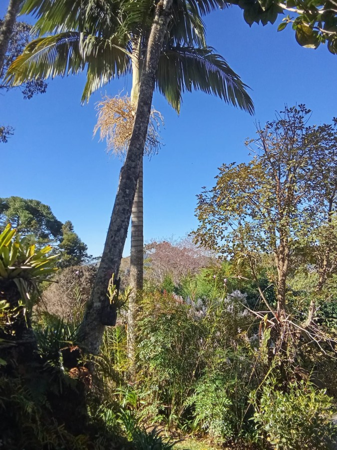Casa de Condomínio à venda com 2 quartos, 1700m² - Foto 6