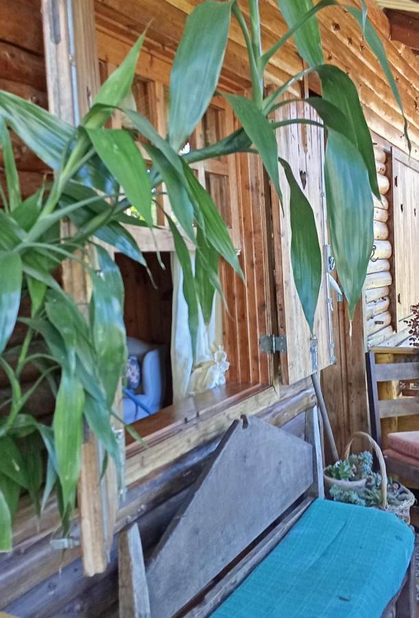Casa de Condomínio à venda com 2 quartos, 1700m² - Foto 4