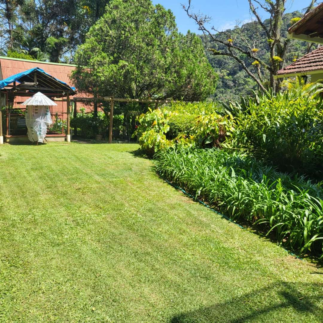 Casa, 4 quartos - Foto 3