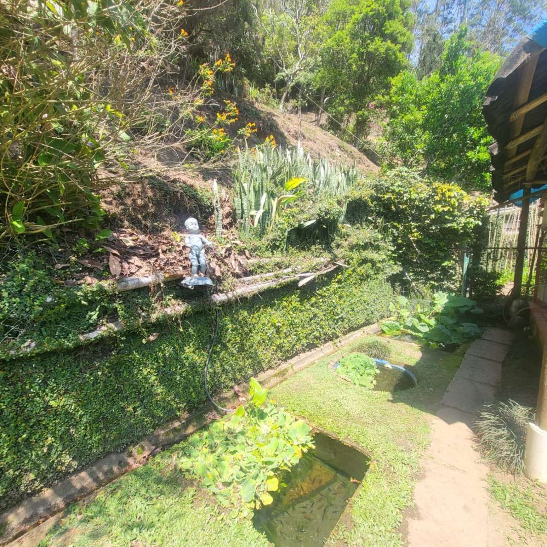 Casa, 4 quartos - Foto 6