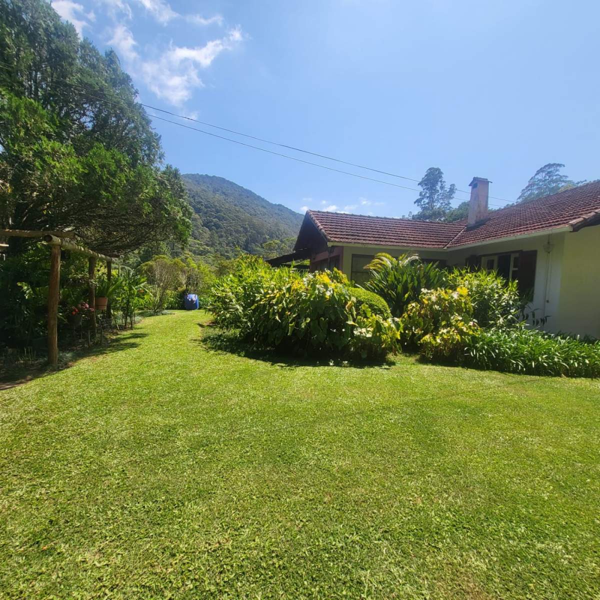 Casa, 4 quartos - Foto 5