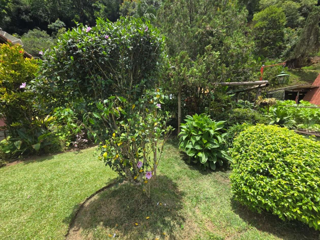 Casa, 4 quartos - Foto 40