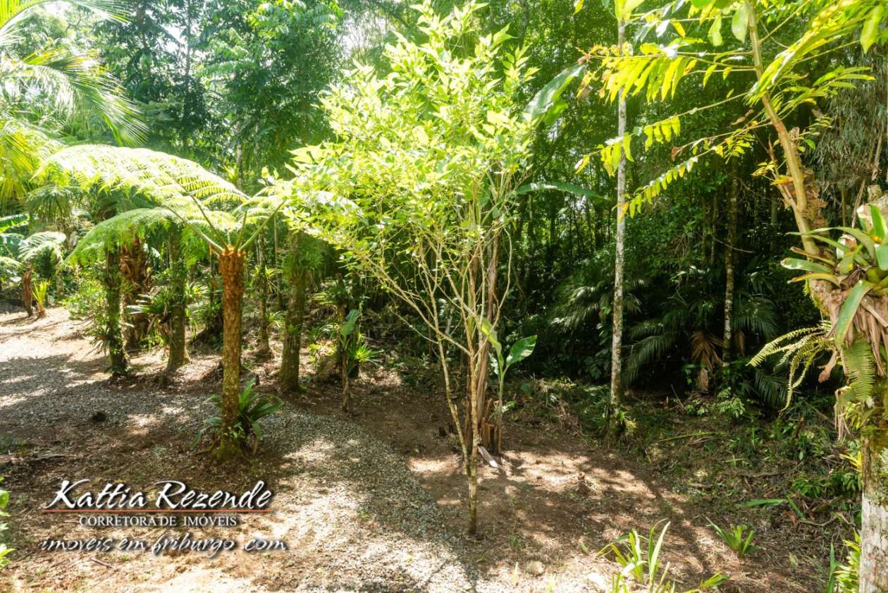 Outros à venda em Mury, Nova Friburgo - RJ - Foto 10