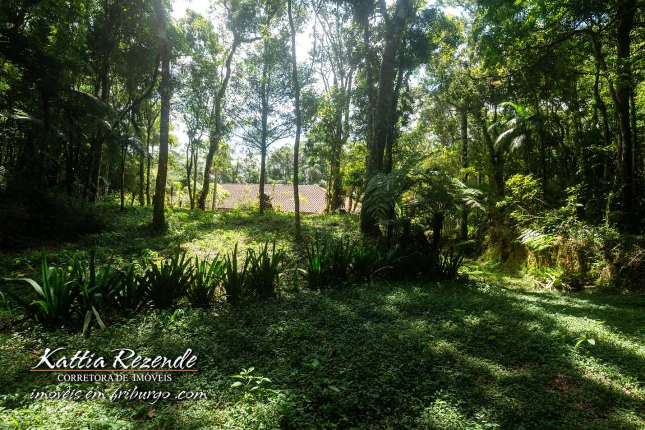 Outros à venda em Mury, Nova Friburgo - RJ - Foto 9