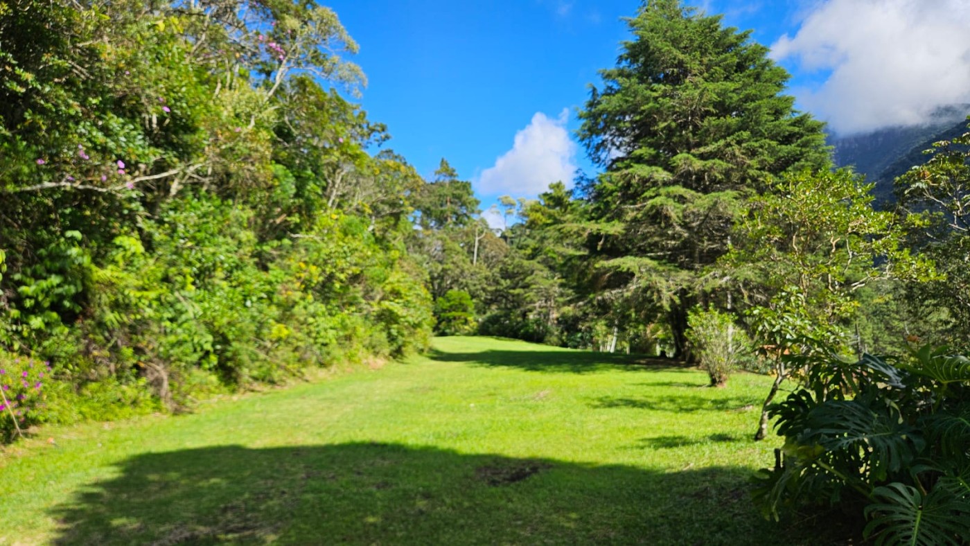 Terreno Residencial à venda em Mury, Nova Friburgo - RJ - Foto 3
