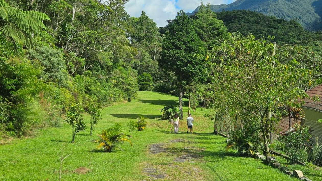 Terreno Residencial à venda em Mury, Nova Friburgo - RJ - Foto 4
