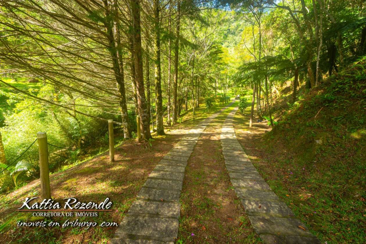 Outros à venda em Mury, Nova Friburgo - RJ - Foto 42